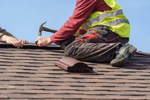 Best Roof Gutter Cleaning  in Blue Ash, OH