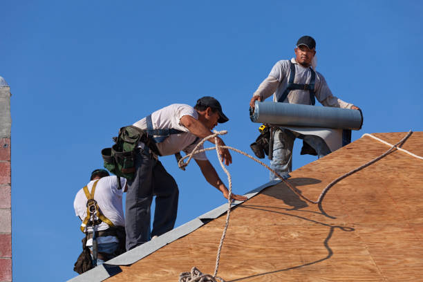Best Roof Waterproofing Services  in Blue Ash, OH